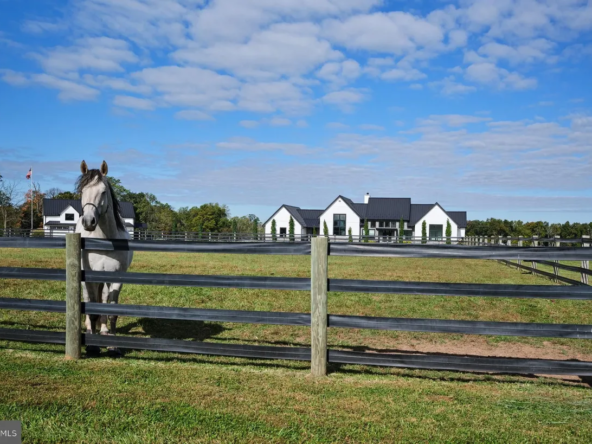 48e62d42215324b362e65d9479384d6fl-m2329586624rd-w1280_h960